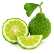 ByOrgMeans 佛手柑(去光敏)精油(有機) GEO1017