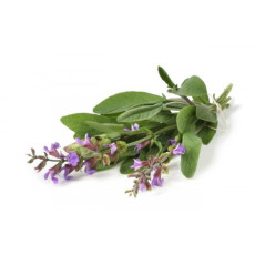 ByOrgMeans 快樂鼠尾草精油 (有機) GEO1050