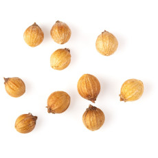 ByOrgMeans 芫荽籽精油 (有機) GEO1055