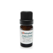 ByOrgMeans 薑精油 (有機) GEO1079