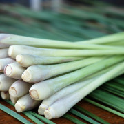 ByOrgMeans 檸檬香茅精油 (有機) GEO1099