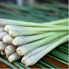 ByOrgMeans 檸檬香茅精油 (有機) GEO1099