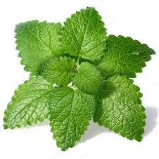 ByOrgMeans 香蜂草精油 (有機) GEO1109