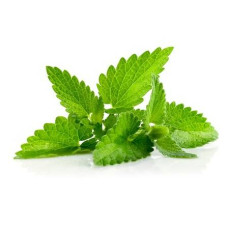 ByOrgMeans 廣藿香精油 (有機) GEO1126