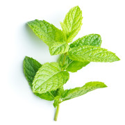 ByOrgMeans 薄荷精油 (有機) GEO1129