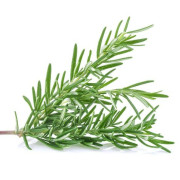 ByOrgMeans 迷迭香精油 (有機) GEO1138