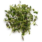 ByOrgMeans 百里香精油(有機) GEO1157