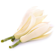 ByOrgMeans 白蘭花精油 (有機) GEO1042