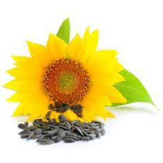 ByOrgMeans 葵花籽油(有機) GCO9019