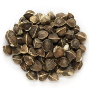 ByOrgMeans 辣木油 (有機) GCO4059